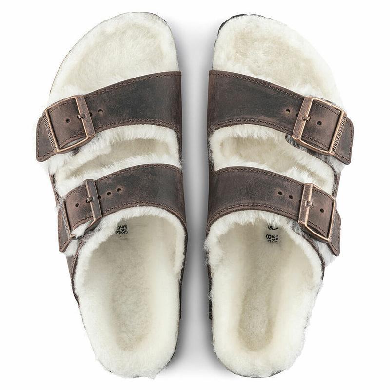 Birkenstock Shearling Oiled Læder Arizona Herre Kaffe | DK 247MQZ